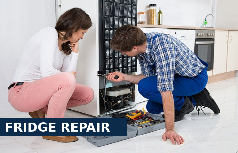 Fridge Repair Surbiton